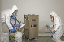 Basement Mold Remediation Process